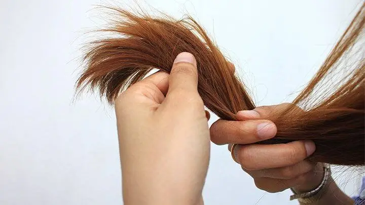 Rambut-Bisa-Mengembalikan-Mantan-Begini-Cara-Puter-Giling-Media-Rambut
